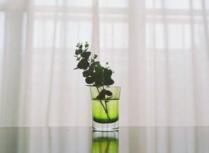 juedingzouduoyuan